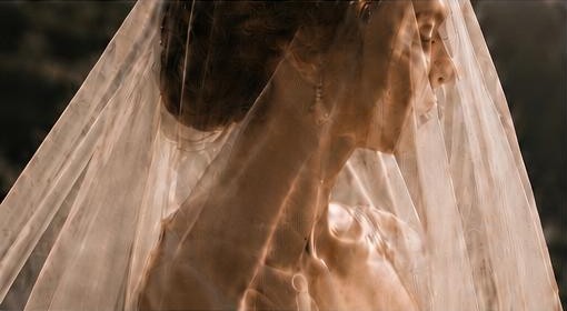 La mariée sous son voile